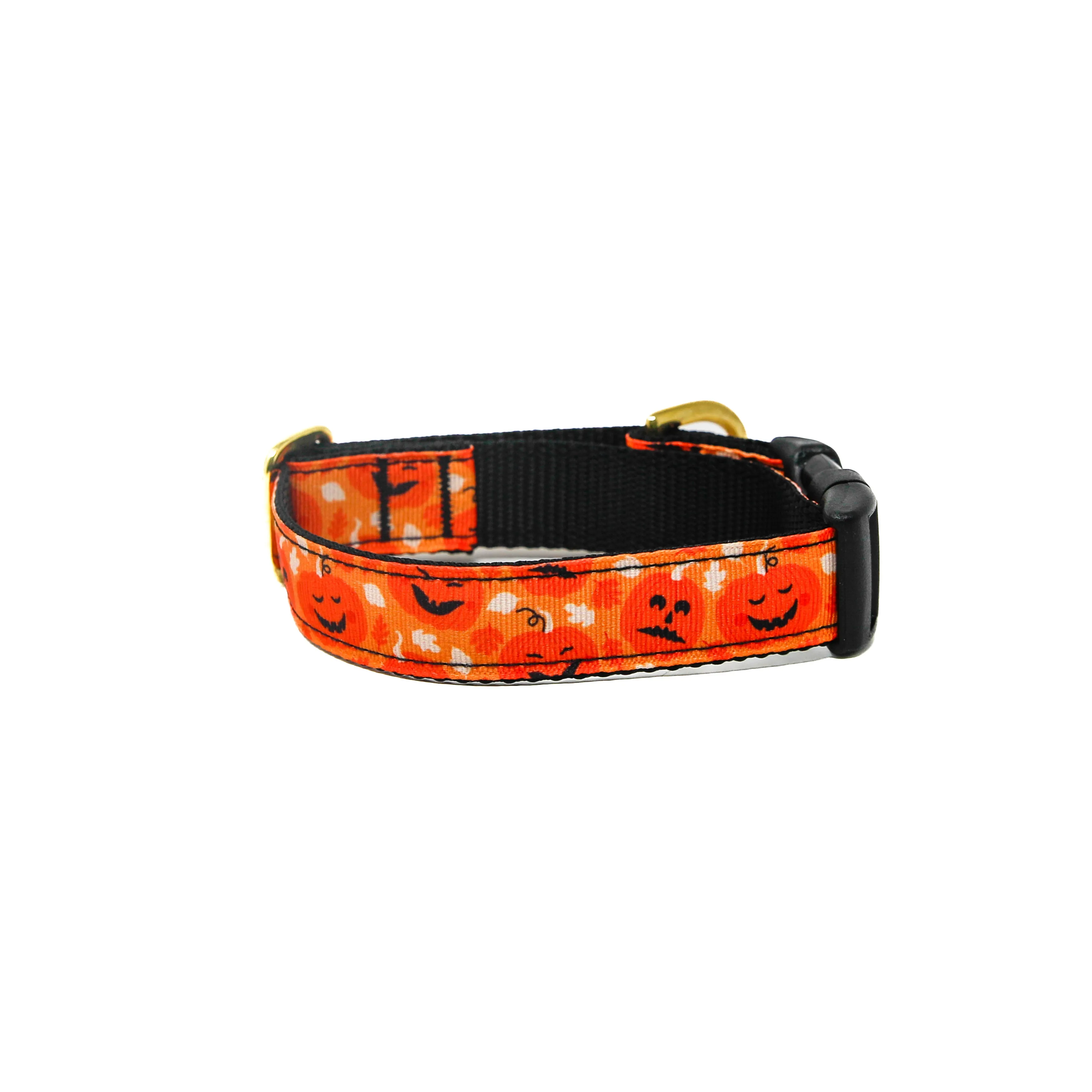 Activewear - Pumpkin Pup