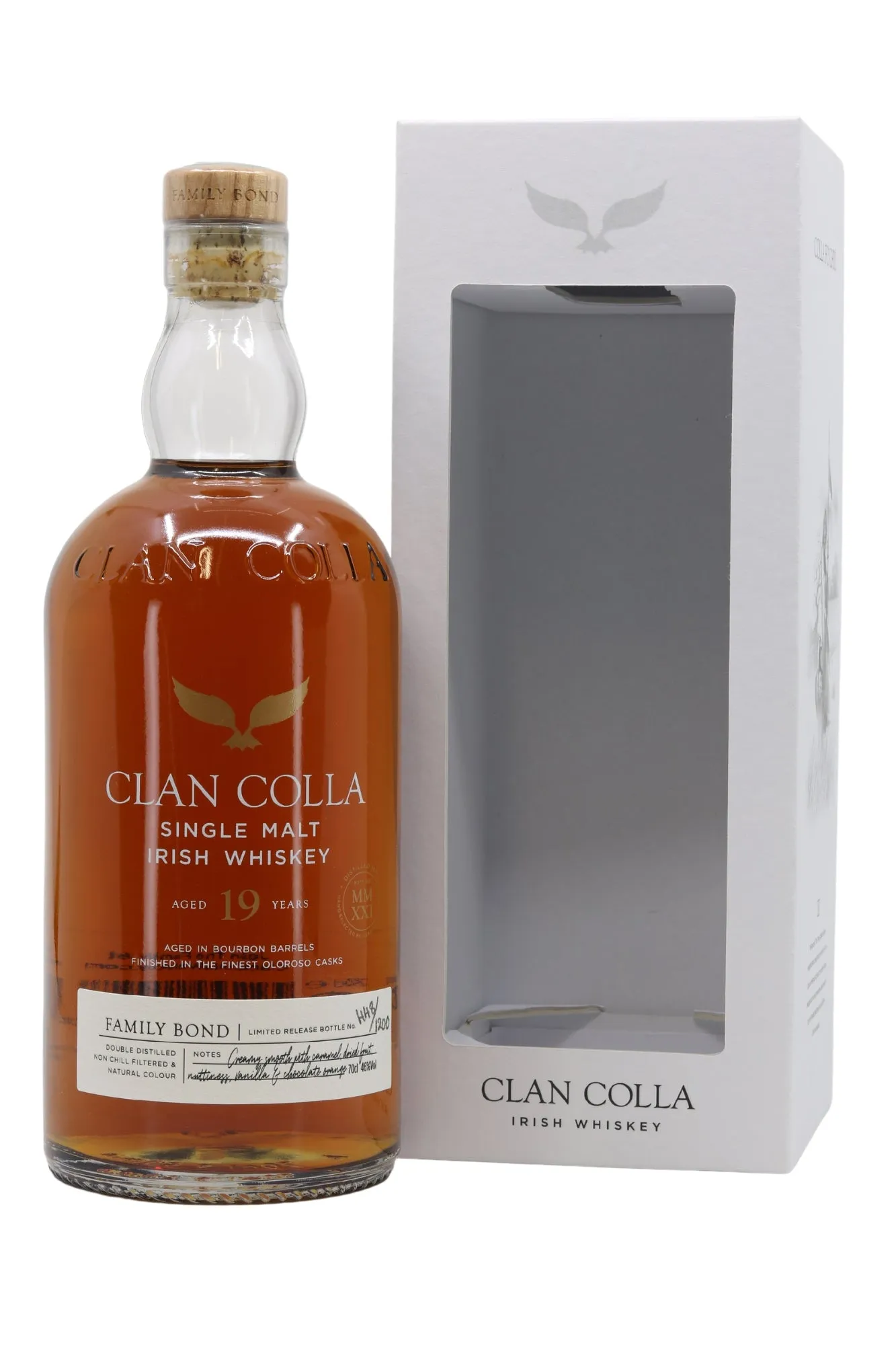 Clan Colla 19 Year Old